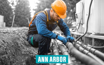 Redefining Resilience: Ann Arbor’s Community-Driven Energy Model