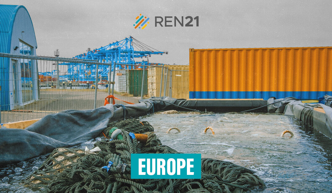How Offshore Wind is Rewilding Oysters to Support Food Security and Prosperity in the North Sea