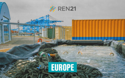 How Offshore Wind is Rewilding Oysters to Support Food Security and Prosperity in the North Sea